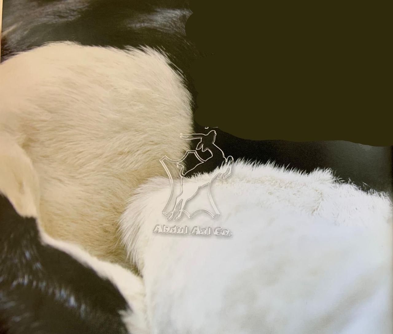 Hairy Leather